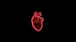 Τα σημαντικά οφέλη της επιδιόρθωσης των βαλβίδων της καρδιάς (Βαλβιδοπλαστικής)