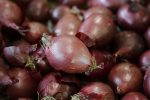 Είναι το κρεμμύδι το μέλλον των αντιβιοτικών;