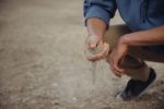 Μια νέα αντιβιοτική ένωση ανακαλύφθηκε στο χώμα