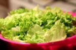 Νέα κρούσματα E. coli από μαρούλια σε ΗΠΑ και Καναδά