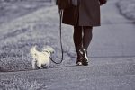 Το περπάτημα σώζει τις ζωές (και) των ηλικιωμένων γυναικών