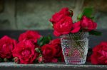 Το άρωμα τριαντάφυλλου βοηθά την εκμάθηση