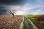 «Μη αναστρέψιμες» πλέον κάποιες επιπτώσεις της κλιματικής αλλαγής